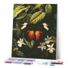 Laden Sie das Bild in den Galerie-Viewer, Diamond Painting - Heliconius Erato Schmetterling