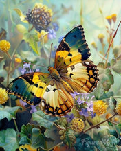 Laden Sie das Bild in den Galerie-Viewer, Diamond Painting - Janetta Forester Schmetterling – 40 x 50 cm auf Keilrahmen gespannt