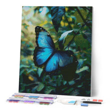 Laden Sie das Bild in den Galerie-Viewer, Diamond Painting - Blauer Morphofalter