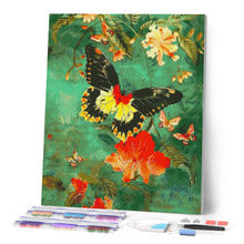 Laden Sie das Bild in den Galerie-Viewer, Diamond Painting - Troide Minos Schmetterling – 40 x 50 cm auf Keilrahmen gespannt