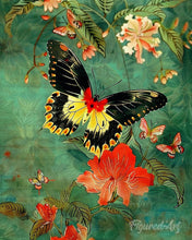 Laden Sie das Bild in den Galerie-Viewer, Diamond Painting - Troide Minos Schmetterling – 40 x 50 cm auf Keilrahmen gespannt