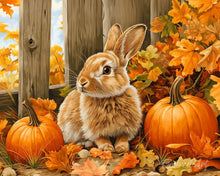 Laden Sie das Bild in den Galerie-Viewer, Diamond Painting - Hase und Kürbisse – 40 x 50 cm auf Keilrahmen gespannt