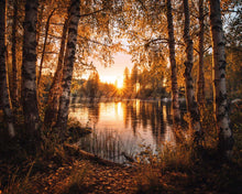 Laden Sie das Bild in den Galerie-Viewer, Diamond Painting - Goldener Birkensee