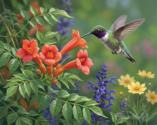 Laden Sie das Bild in den Galerie-Viewer, Diamond Painting - Kolibri-Oase