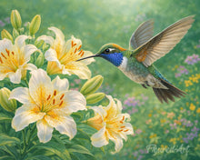 Laden Sie das Bild in den Galerie-Viewer, Diamond Painting - Kolibri in Blüte