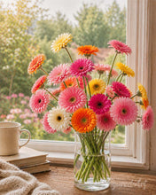 Laden Sie das Bild in den Galerie-Viewer, Diamond Painting - Fröhliche Gerbera