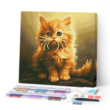Laden Sie das Bild in den Galerie-Viewer, Mini Diamond Painting 25 x 25 cm - Flauschiges Oranges Kätzchen