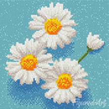 Laden Sie das Bild in den Galerie-Viewer, Mini Diamond Painting 25 x 25 cm - Bezaubernde Weiße Gänseblümchen