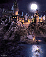 Laden Sie das Bild in den Galerie-Viewer, Diamond Painting - Harry Potter - Hogwarts bei Nacht