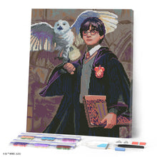Laden Sie das Bild in den Galerie-Viewer, Diamond Painting - Harry Potter und Hedwig – 40 x 50 cm auf Keilrahmen gespannt