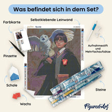 Laden Sie das Bild in den Galerie-Viewer, Diamond Painting - Harry Potter und Hedwig