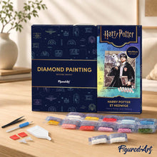 Laden Sie das Bild in den Galerie-Viewer, Diamond Painting - Harry Potter und Hedwig – 40 x 50 cm auf Keilrahmen gespannt