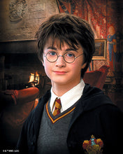 Laden Sie das Bild in den Galerie-Viewer, Diamond Painting - Porträt von Harry Potter – 40 x 50 cm auf Keilrahmen gespannt