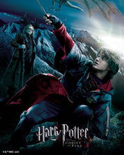 Laden Sie das Bild in den Galerie-Viewer, Diamond Painting - Harry Potter und der Feuerkelch