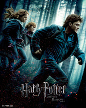 Laden Sie das Bild in den Galerie-Viewer, Diamond Painting - Harry Potter und die Heiligtümer des Todes - Teil 1 Plakat