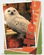 Laden Sie das Bild in den Galerie-Viewer, Diamond Painting - Harry Potter - Hedwig-Karte