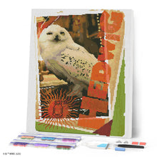 Laden Sie das Bild in den Galerie-Viewer, Diamond Painting - Harry Potter - Hedwig-Karte