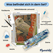 Laden Sie das Bild in den Galerie-Viewer, Diamond Painting - Harry Potter - Hedwig-Karte