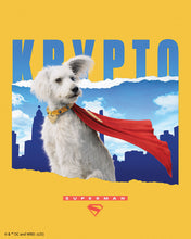 Laden Sie das Bild in den Galerie-Viewer, Diamond Painting - Superman - Krypto mit Skyline