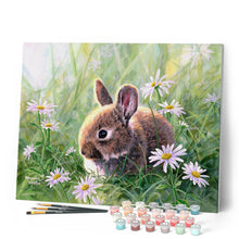 Laden Sie das Bild in den Galerie-Viewer, Malen nach Zahlen für Erwachsene | Kaninchen und Gänseblümchen | Figured'Art