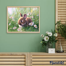 Laden Sie das Bild in den Galerie-Viewer, Malen nach Zahlen für Erwachsene | Kaninchen und Gänseblümchen | Figured'Art