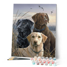 Laden Sie das Bild in den Galerie-Viewer, Malen nach Zahlen für Erwachsene | Labrador-Trio | Figured'Art
