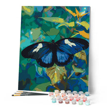 Laden Sie das Bild in den Galerie-Viewer, Heliconius Cydno Schmetterling