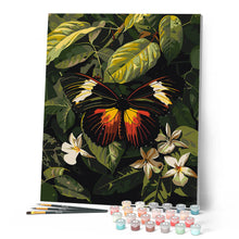 Laden Sie das Bild in den Galerie-Viewer, Heliconius Erato Schmetterling