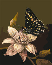 Laden Sie das Bild in den Galerie-Viewer, Malen nach Zahlen Figured&#39;Art – Mormonen-Schmetterling und Blume