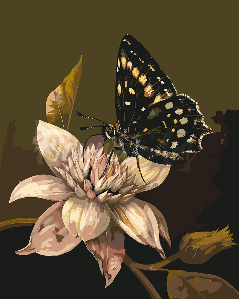 Malen nach Zahlen Figured'Art – Mormonen-Schmetterling und Blume