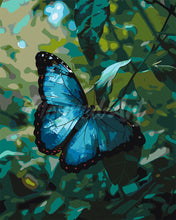 Laden Sie das Bild in den Galerie-Viewer, Malen nach Zahlen Figured&#39;Art – Blauer Morphofalter
