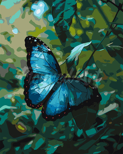 Malen nach Zahlen Figured'Art – Blauer Morphofalter