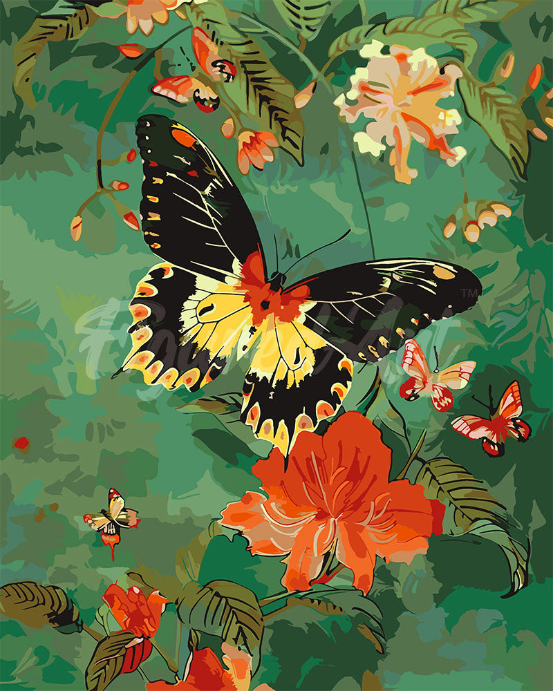 Malen nach Zahlen Figured'Art – Troide Minos Schmetterling