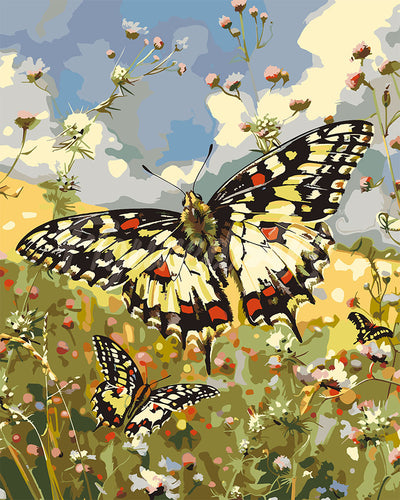 Malen nach Zahlen Figured'Art – Proserpine-Schmetterling und Wildblumen