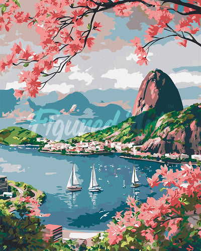 Malen nach Zahlen Figured'Art – Hafen von Rio de Janeiro
