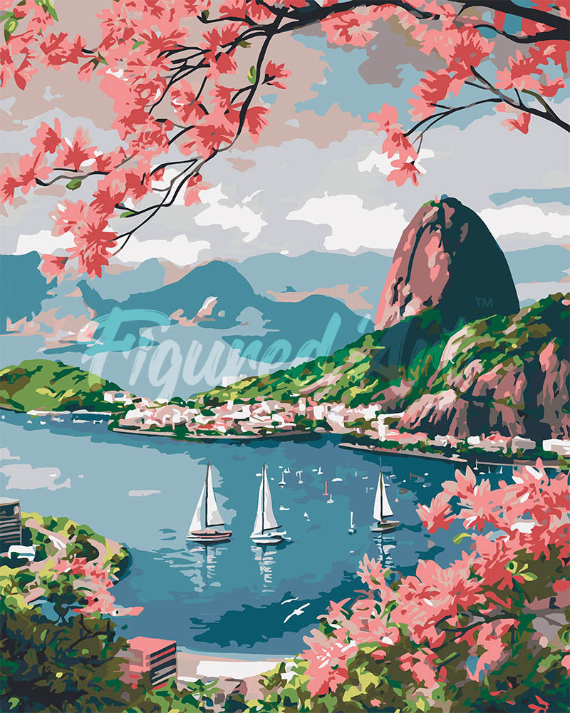Malen nach Zahlen Figured'Art – Hafen von Rio de Janeiro