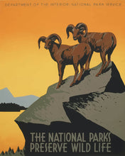 Laden Sie das Bild in den Galerie-Viewer, Malen nach Zahlen Figured'Art – Nationalpark-Poster