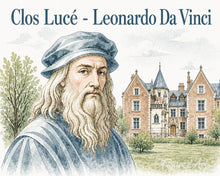 Laden Sie das Bild in den Galerie-Viewer, Malen nach Zahlen Figured'Art – Clos Lucé, Haus von Leonardo da Vinci