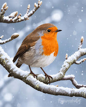 Laden Sie das Bild in den Galerie-Viewer, Malen nach Zahlen Figured'Art – Winterrotkehlchen