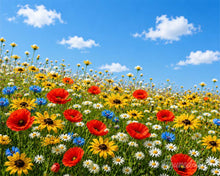 Laden Sie das Bild in den Galerie-Viewer, Malen nach Zahlen Figured'Art – Wildblumenwiese