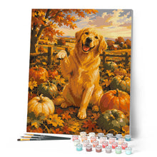Laden Sie das Bild in den Galerie-Viewer, Golden Retriever im Kürbisfeld