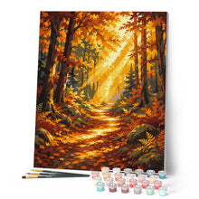 Laden Sie das Bild in den Galerie-Viewer, Waldweg mit Sonnenstrahlen
