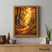 Laden Sie das Bild in den Galerie-Viewer, Waldweg mit Sonnenstrahlen