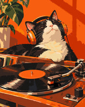 Laden Sie das Bild in den Galerie-Viewer, Malen nach Zahlen Figured'Art – Retro-Katze groovt zu Vinyl