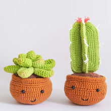 Laden Sie das Bild in den Galerie-Viewer, Amigurumi Häkelset - Kaktus im Topf