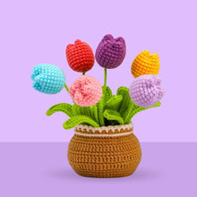 Laden Sie das Bild in den Galerie-Viewer, Amigurumi Häkelset - Tulpenstrauß Figured&#39;Art