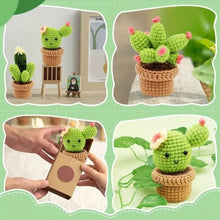 Laden Sie das Bild in den Galerie-Viewer, Amigurumi Häkelset - Kaktus-Trio