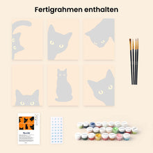 Laden Sie das Bild in den Galerie-Viewer, Mini Serie Malen nach Zahlen 15x20 cm (6 Stück) - Schwarze Katze Guck-Guck