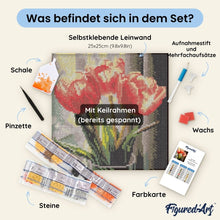 Laden Sie das Bild in den Galerie-Viewer, Mini Diamond Painting 25 x 25 cm - Tropischer Tukan