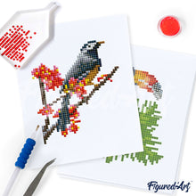 Laden Sie das Bild in den Galerie-Viewer, Mini Serie Diamond Painting - Buntes Vogelparadies